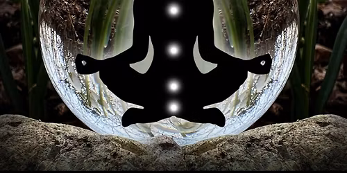 Yoga en Stem \ud83c\udf42\u2728 nieuwe startdata