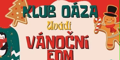 V\u00c1NO\u010cN\u00cd EDM P\u00c1RTY