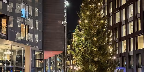 Julegrantenning p\u00e5 Tjuvholmen\ud83c\udf1f\ud83c\udf32