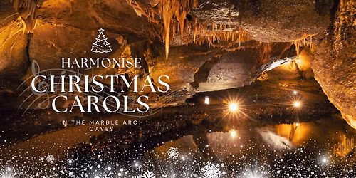 Harmonise Underground 