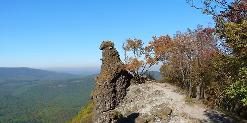 T\u00fara a Vad\u00e1ll\u00f3-k\u00f6vekhez \u00e9s a Pr\u00e9dik\u00e1l\u00f3sz\u00e9khez