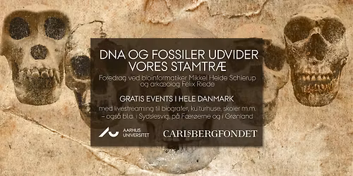 Livestreaming fra AU: DNA og fossiler udvider vores stamtr\u00e6
