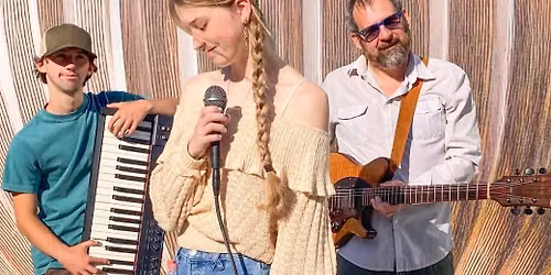 The Ferns Family Band