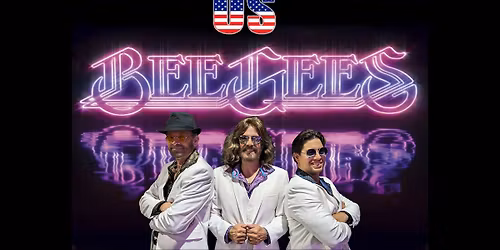 US Bee Gees at Wild Rover Brewing Company