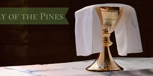 6th Sunday, Ordinary Time( Vigil Mass)
