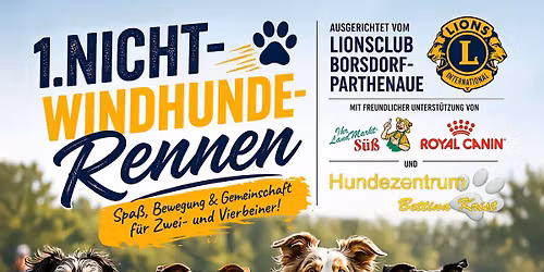 1. Borsdorfer NichtWindhunderennen
