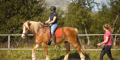 Gutsy Girls Holiday | Norway Horse Riding and Yoga Holiday for Beginners