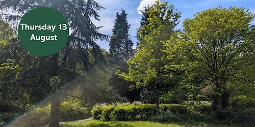 Gosforth's Wild Web: City Tree Trail