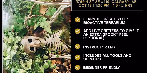 Spooky Enclosed Terrarium | Bow River Brewing