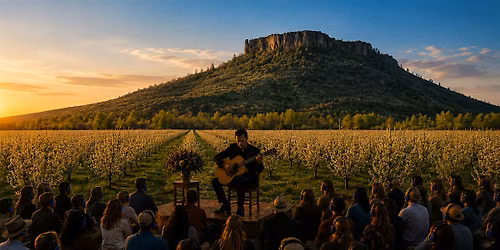 Wilder Frets: Classical Guitar in the Wilderness at TouVelle Park