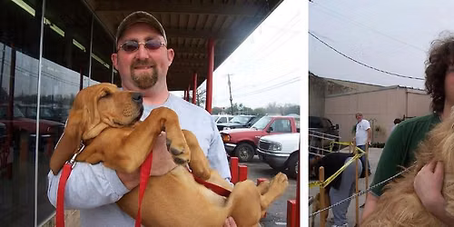 Low Cost Cat & Dog Vaccinations in Haltom City