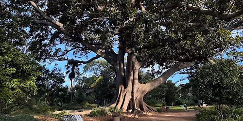 Inside the Arderne Gardens