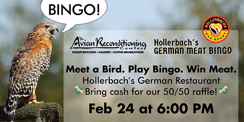 Hollerbach's Meat Bingo with the Avian Reconditioning Center