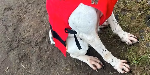 Christmas Jumper Day