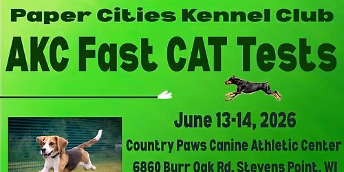 PCKC Fast Cat