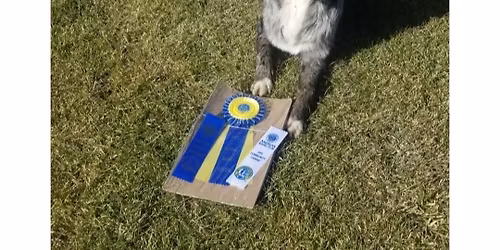 CGC \/ CGCA \/ Therapy Dog Testing