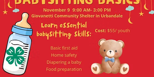 Babysitting Basics