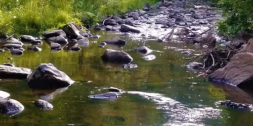 Chester Park Loop Hike