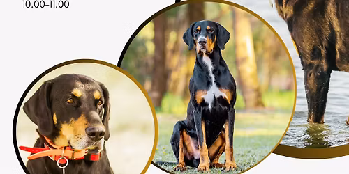 Az erd\u00e9lyi kop\u00f3 \u2013 T\u00f6rt\u00e9nelem, \u00e9letm\u00f3d, vad\u00e1szkult\u00fara