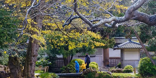 Golden Gate Park Photo Walk: Japanese Tea Garden & de Young - Sat. Aug. 15