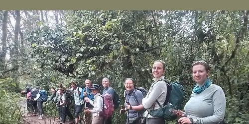 Tanzania adventures and safaris kilimanjaro enjoy 