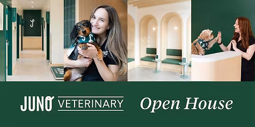 Open House at Juno Vet Leslieville