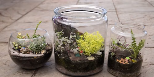 Plant Workshop: Magical Miniature Terrarium Gardens