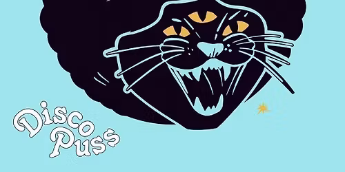 DISCO PUSS Bristol Launch w\/ TOUCH OF FUNK "All Night Long" - Bristol Debut