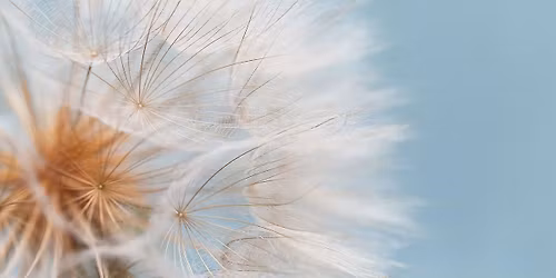 Gratis f\u00e6llesmeditation