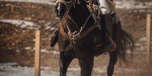 Horseback Archery @WC INDIANA RENAISSANCE FAIRE