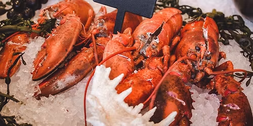 New England Seafood Party Hands-On Cooking Class $100\/person