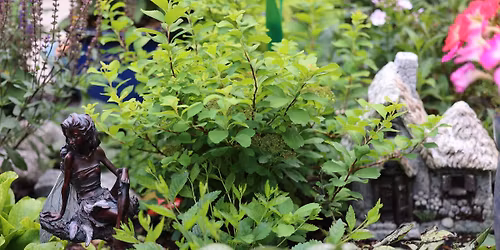World Labyrinth Day at Chrysalis 