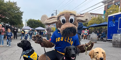 DogFest Seattle