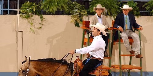 NRHA Reining Horse Futurity