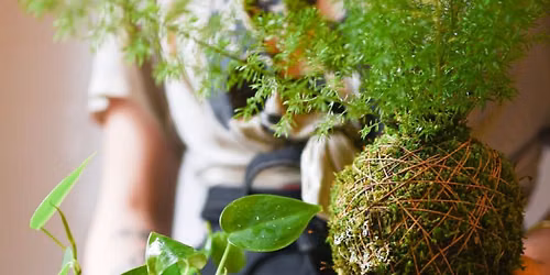 KOKEDAMA & SAKE SOCIAL | SEPTEMBER 17TH 6PM | SAMANTHA'S GARDEN SPRINGDALE