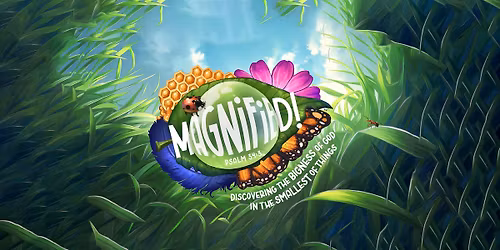 Magnified VBS