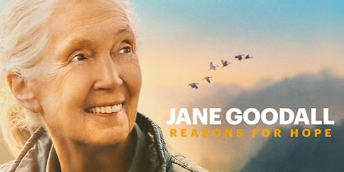 Jane Goodall: Reasons for Hope Film Screening