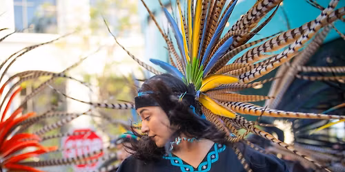 Santa Cruz Dance Week 2026- All Class Pass