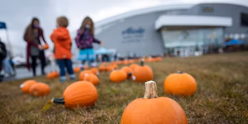 Alaska Anchorage Seawolves at Brown Bears Mens Hockey