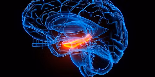 God hjernehelse hele livet