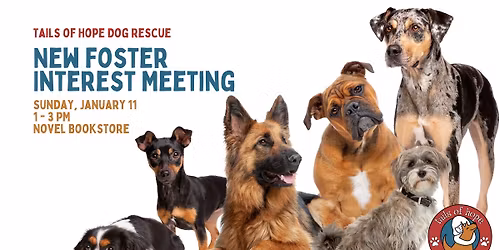 New Foster Interest Meeting