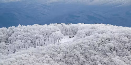 \ud83d\ude81 Smoky Mountain Scenic Helicopter Tour Getaway Package! \ud83c\udfde\ufe0f $199 Per Couple