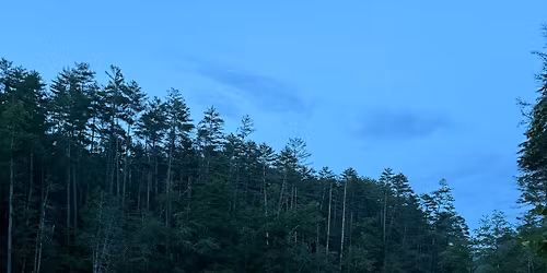 Whetstone Horse Camp