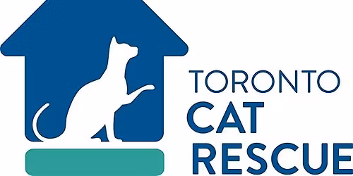 Toronto Cat Rescue Kitten Workshop