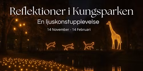 Vernissage av Reflektioner i Kungsparken -  en ljuskonstupplevelse.