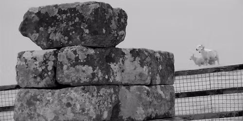 Exhibition: We Knew the Terrain by Matthew Burdis