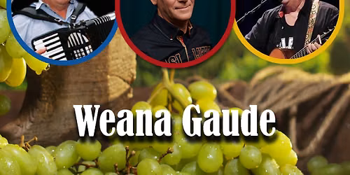 Weana Gaude - Andy Lee Lang, Herbert Sch\u00f6ndorfer, Victor Poslusny