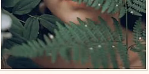 Herbs for Dealing with Stress, Anxiety and Low Energy