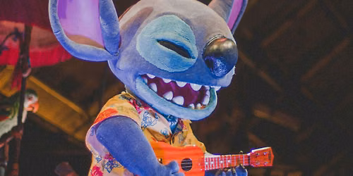 Lilo and Stitch Luau Party