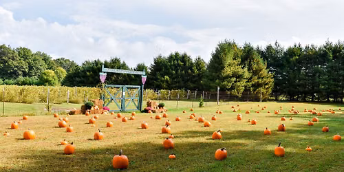 Fall Harvest Festival